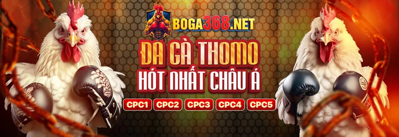 Cam kết của a88 với người chơi